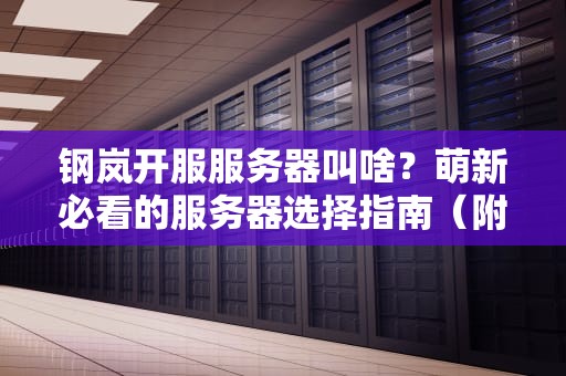 钢岚开服服务器叫啥？萌新必看的服务器选择指南（附专业测评）