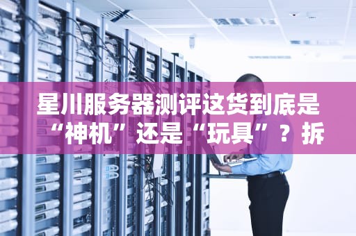 星川服务器测评这货到底是“神机”还是“玩具”？拆开给你看！
