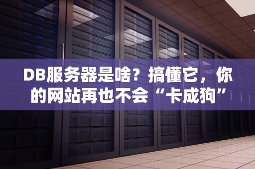 DB服务器是啥？搞懂它，你的网站再也不会“卡成狗”！