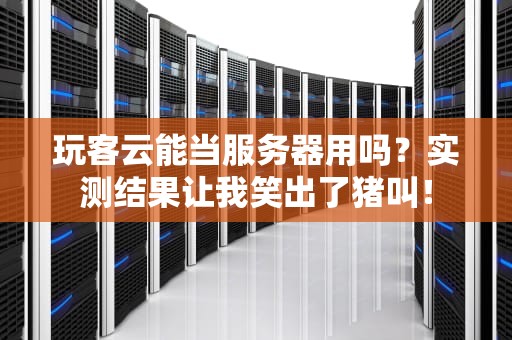 玩客云能当服务器用吗？实测结果让我笑出了猪叫！