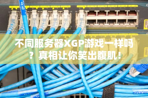 不同服务器XGP游戏一样吗？真相让你笑出腹肌！