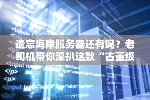 遗忘海岸服务器还有吗？老司机带你深扒这款“古董级”神机！