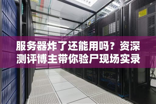 服务器炸了还能用吗？资深测评博主带你验尸现场实录