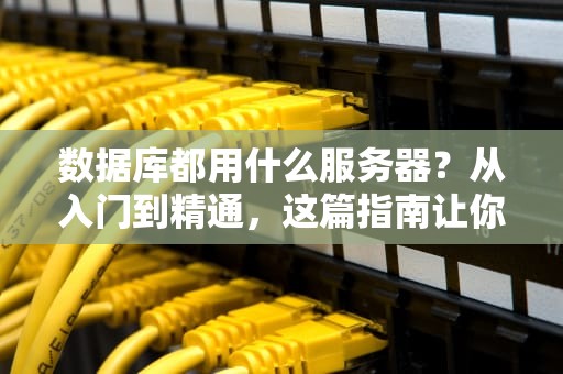 数据库都用什么服务器？从入门到精通，这篇指南让你秒变老司机！