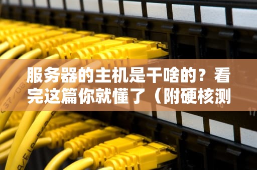 服务器的主机是干啥的？看完这篇你就懂了（附硬核测评彩蛋）