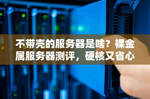 不带壳的服务器是啥？裸金属服务器测评，硬核又省心！