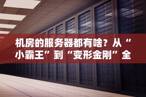 机房的服务器都有啥？从“小霸王”到“变形金刚”全解析！