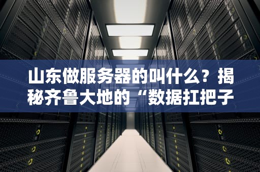 山东做服务器的叫什么？揭秘齐鲁大地的“数据扛把子”们！