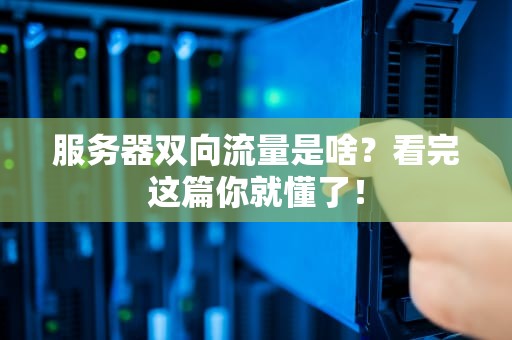 服务器双向流量是啥？看完这篇你就懂了！