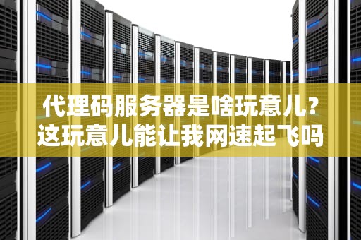 代理码服务器是啥玩意儿？这玩意儿能让我网速起飞吗？（附专业测评）