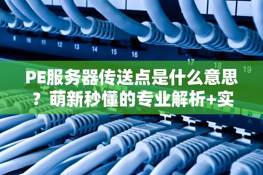 PE服务器传送点是什么意思？萌新秒懂的专业解析+实战测评！