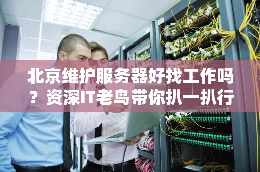 北京维护服务器好找工作吗？资深IT老鸟带你扒一扒行业真相！