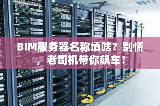 BIM服务器名称填啥？别慌，老司机带你飙车！