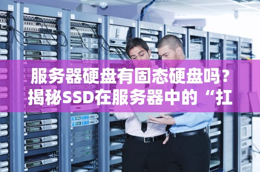 服务器硬盘有固态硬盘吗？揭秘SSD在服务器中的“扛把子”地位！