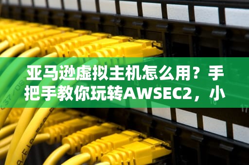 亚马逊虚拟主机怎么用？手把手教你玩转AWSEC2，小白也能变大神！