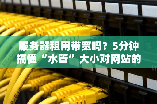 服务器租用带宽吗？5分钟搞懂“水管”大小对网站的影响！