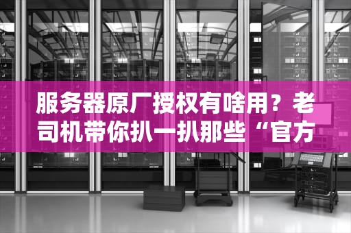 服务器原厂授权有啥用？老司机带你扒一扒那些“官方认证”的坑与香！