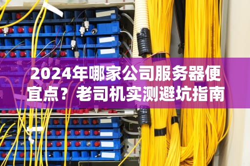 2024年哪家公司服务器便宜点？老司机实测避坑指南（附性能对比）