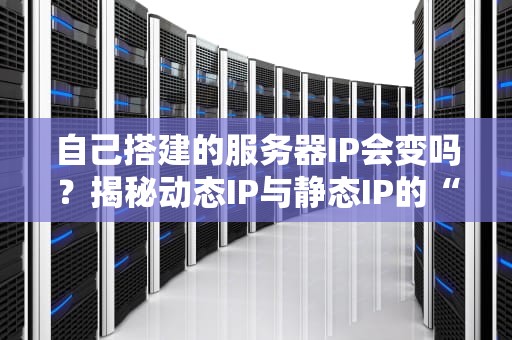 自己搭建的服务器IP会变吗？揭秘动态IP与静态IP的“爱恨情仇”