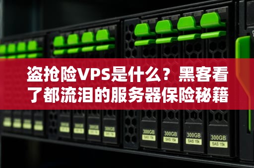盗抢险VPS是什么？黑客看了都流泪的服务器保险秘籍！