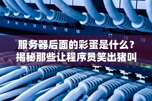 服务器后面的彩蛋是什么？揭秘那些让程序员笑出猪叫的隐藏惊喜！