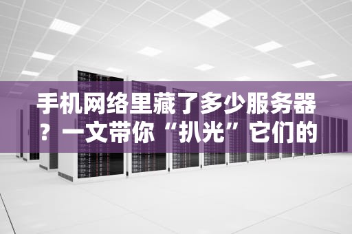 手机网络里藏了多少服务器？一文带你“扒光”它们的底裤！