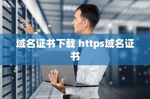 域名证书下载 https域名证书