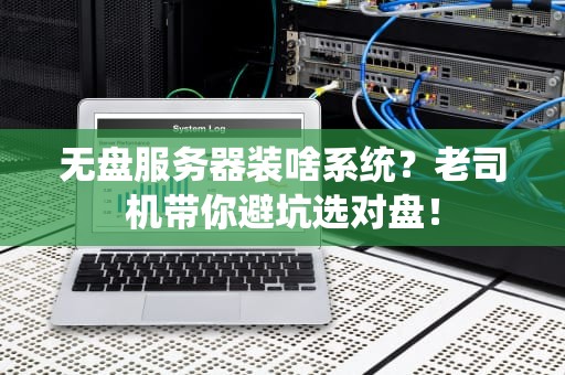 无盘服务器装啥系统？老司机带你避坑选对盘！