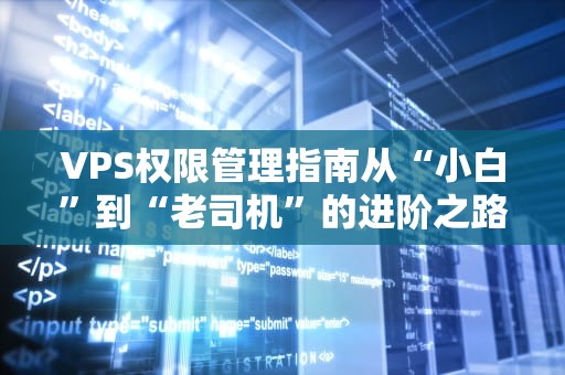 VPS权限管理指南从“小白”到“老司机”的进阶之路