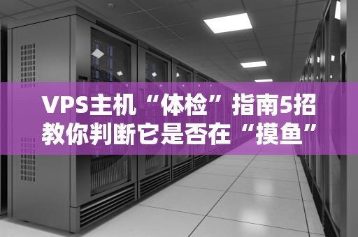 VPS主机“体检”指南5招教你判断它是否在“摸鱼”还是真干活！
