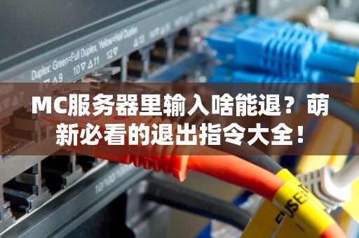MC服务器里输入啥能退？萌新必看的退出指令大全！