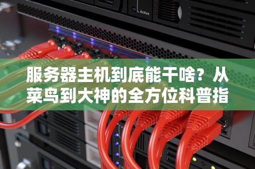 服务器主机到底能干啥？从菜鸟到大神的全方位科普指南！