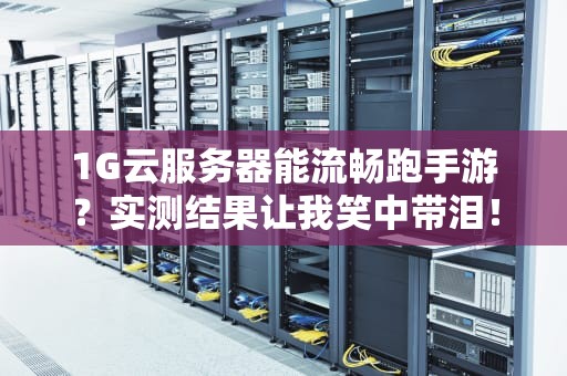1G云服务器能流畅跑手游？实测结果让我笑中带泪！