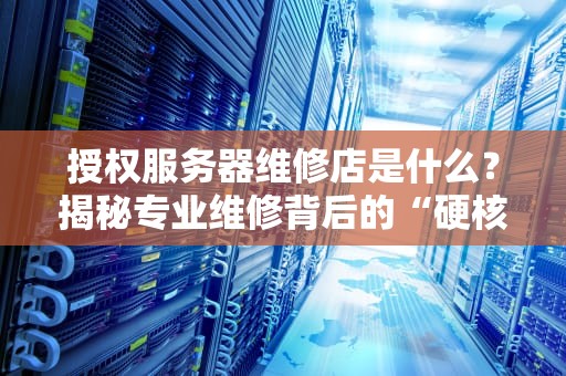 授权服务器维修店是什么？揭秘专业维修背后的“硬核操作”