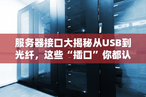 服务器接口大揭秘从USB到光纤，这些“插口”你都认识吗？