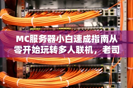 MC服务器小白速成指南从零开始玩转多人联机，老司机都直呼内行！