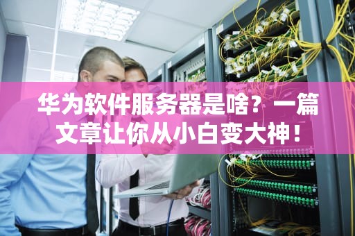 华为软件服务器是啥？一篇文章让你从小白变大神！