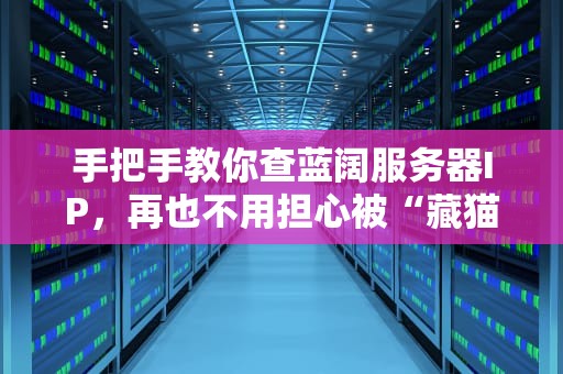 手把手教你查蓝阔服务器IP，再也不用担心被“藏猫猫”了！