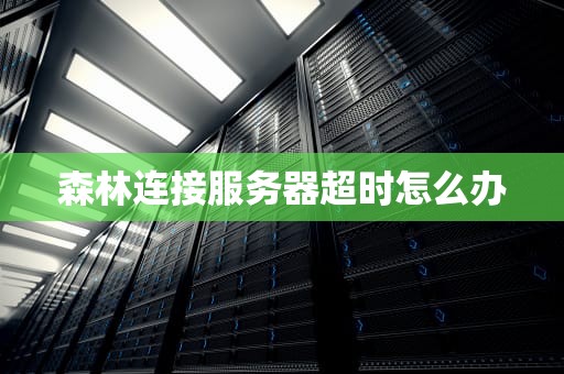 森林连接服务器超时怎么办