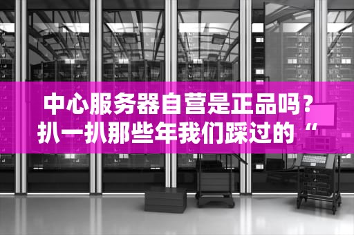 中心服务器自营是正品吗？扒一扒那些年我们踩过的“李鬼”坑！