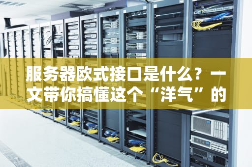 服务器欧式接口是什么？一文带你搞懂这个“洋气”的硬件细节！