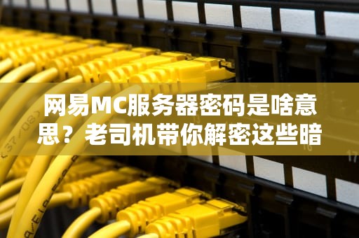 网易MC服务器密码是啥意思？老司机带你解密这些暗号！