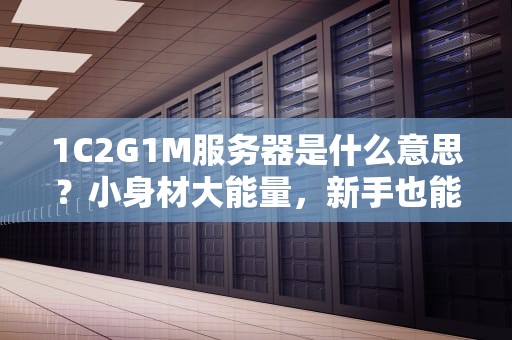 1C2G1M服务器是什么意思？小身材大能量，新手也能秒懂！
