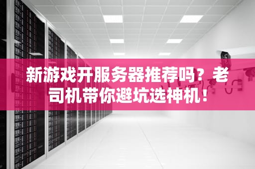 新游戏开服务器推荐吗？老司机带你避坑选神机！
