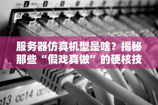 服务器仿真机型是啥？揭秘那些“假戏真做”的硬核技术！