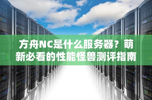 方舟NC是什么服务器？萌新必看的性能怪兽测评指南！