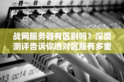战网服务器有区别吗？深度测评告诉你选对区服有多重要！