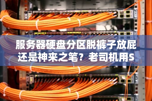 服务器硬盘分区脱裤子放屁还是神来之笔？老司机用SSD给你盘明白！