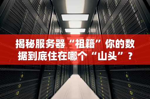 揭秘服务器“祖籍”你的数据到底住在哪个“山头”？——起源领域服务器全解析