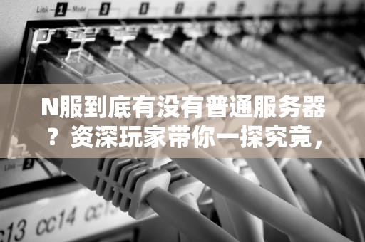 N服到底有没有普通服务器？资深玩家带你一探究竟，笑到掉帧！